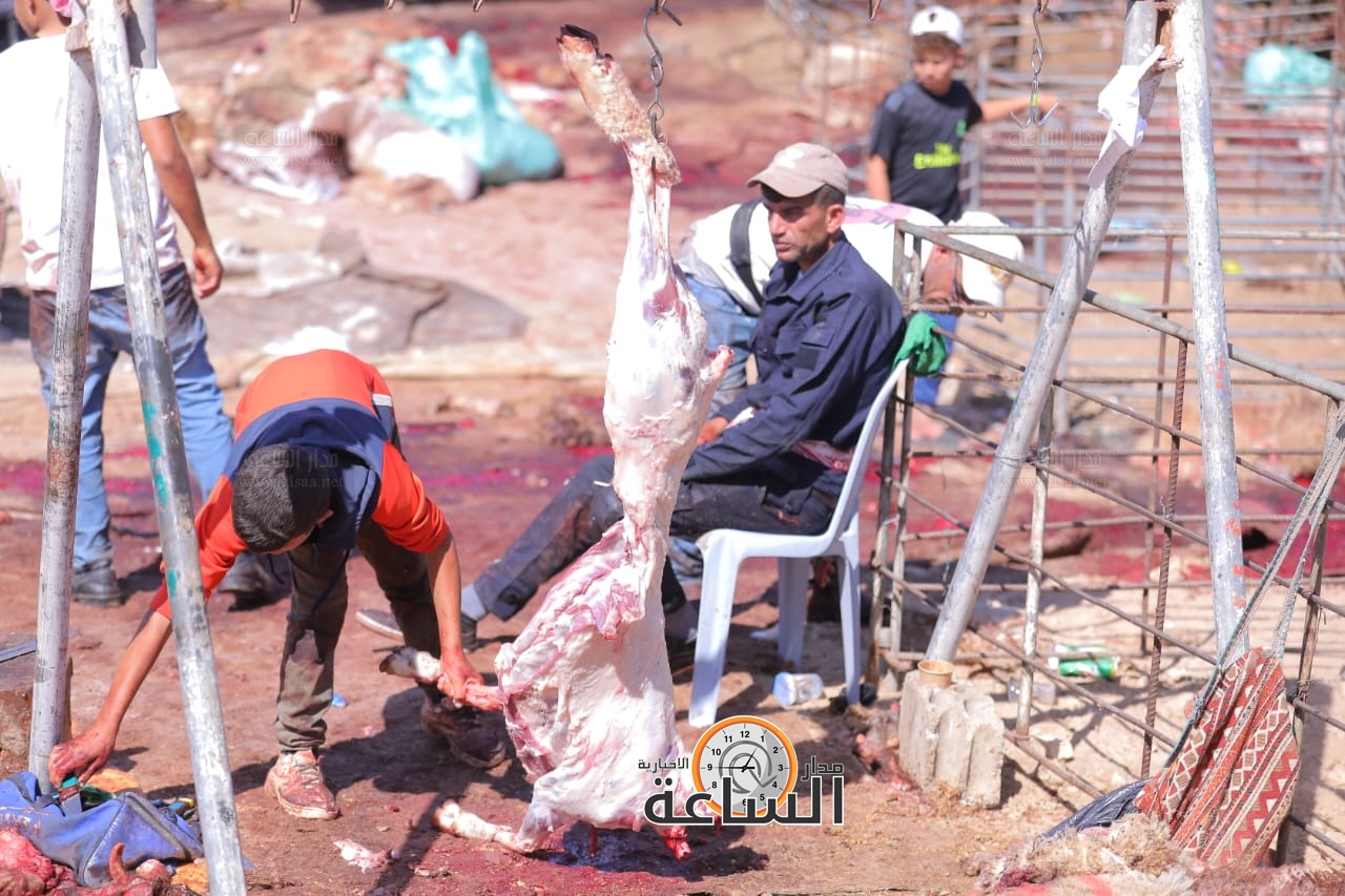 Madar Al-Saa Images 0.5361365900219324