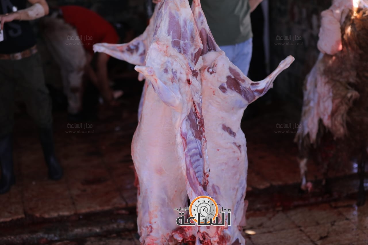 Madar Al-Saa Images 0.2401080254962913