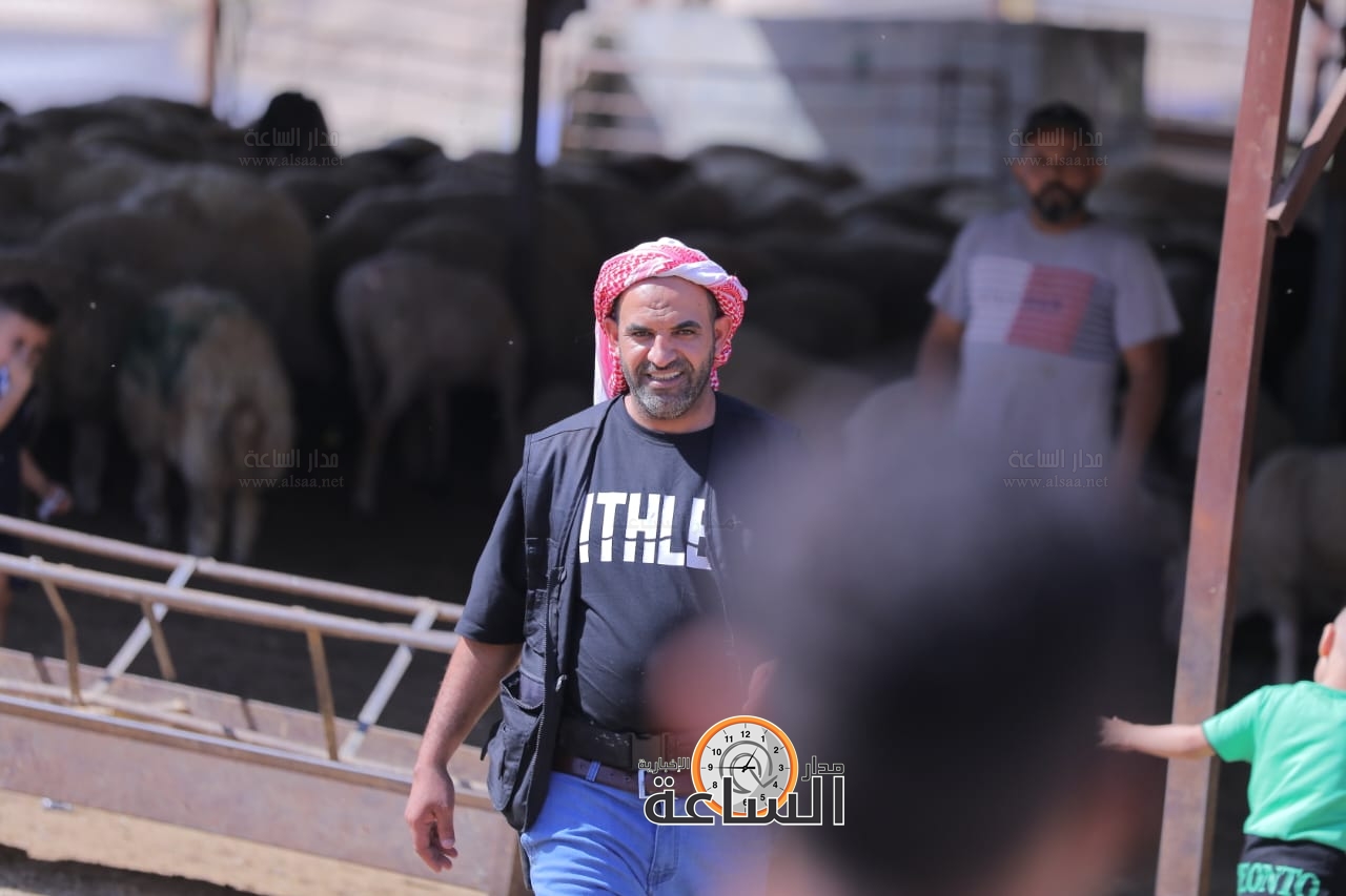 Madar Al-Saa Images 0.2937584271672522