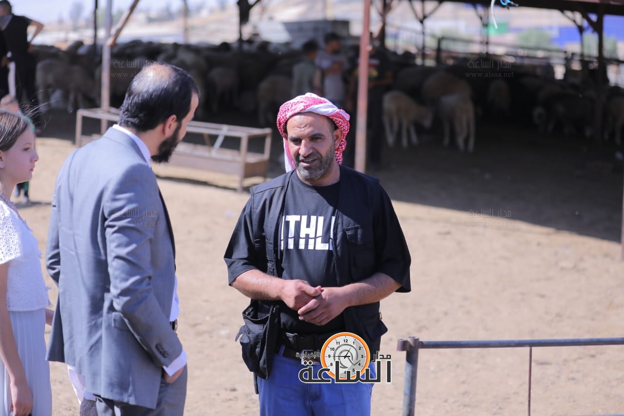 Madar Al-Saa Images 0.7906482129805368