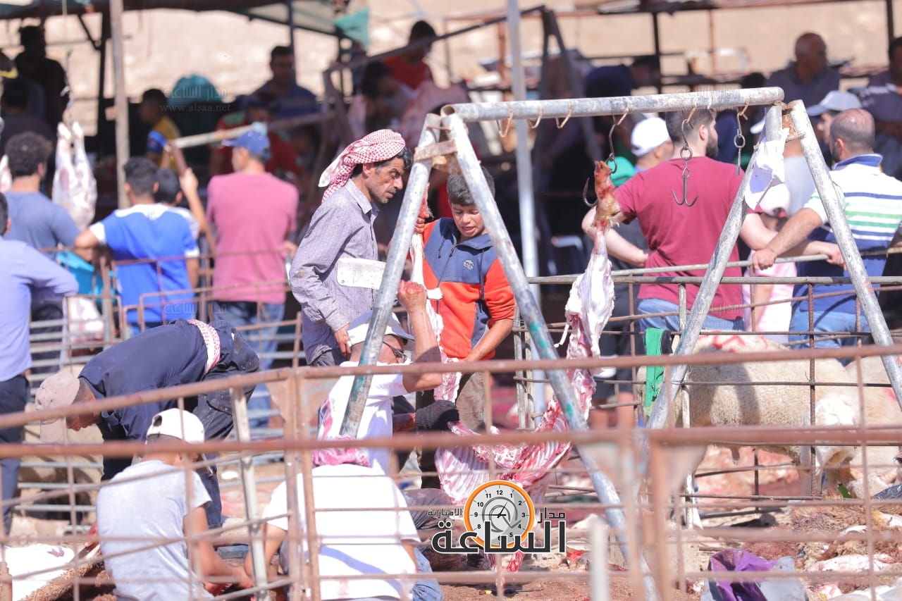 Madar Al-Saa Images 0.7521659874854261