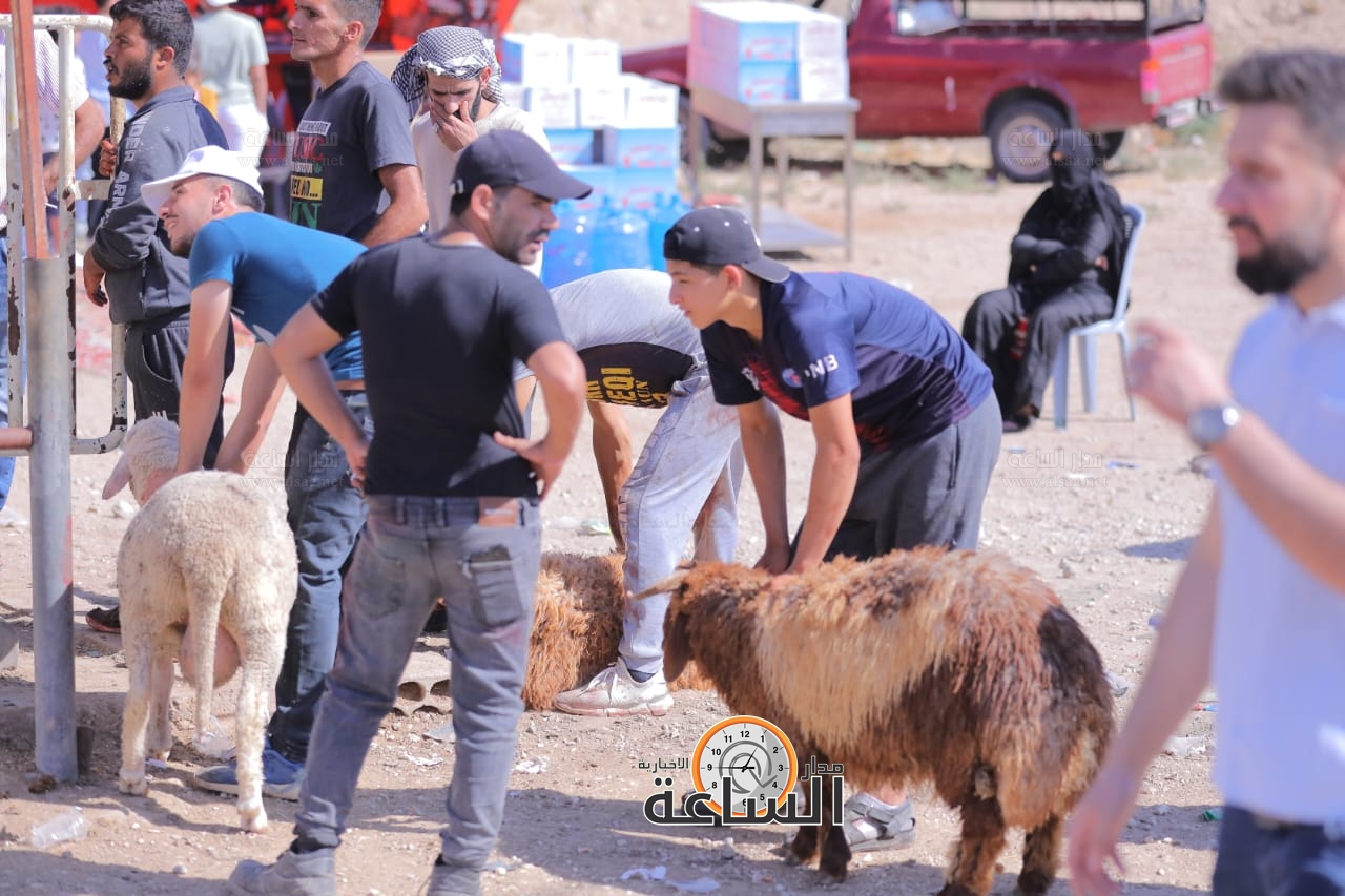 Madar Al-Saa Images 0.6119499668479893