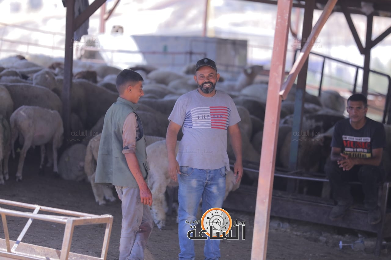 Madar Al-Saa Images 0.026432029458727246