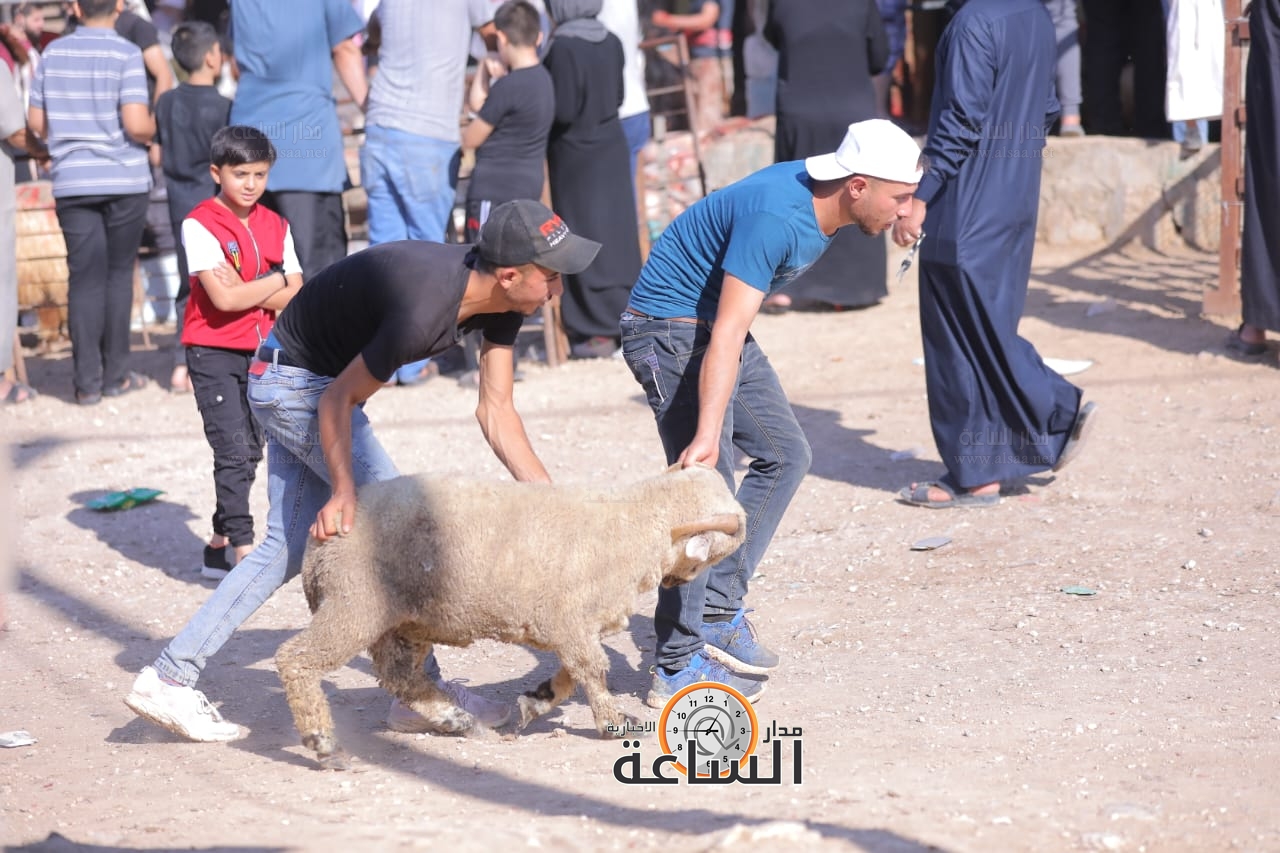 Madar Al-Saa Images 0.18219363907922403