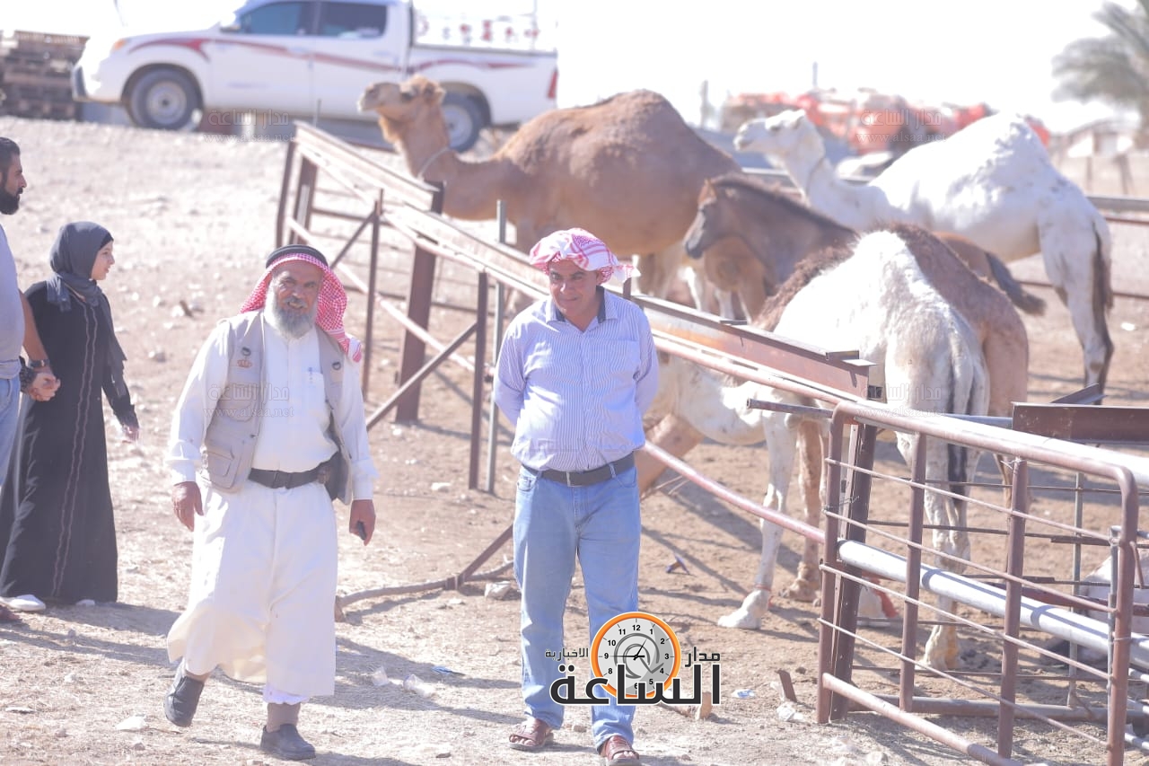 Madar Al-Saa Images 0.39154761279097916