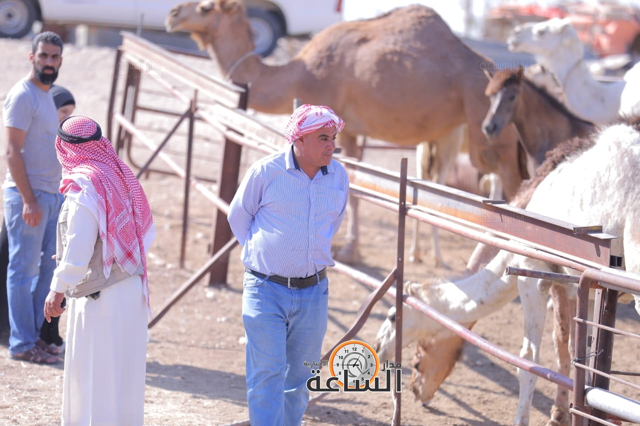 Madar Al-Saa Images 0.38570174369535626