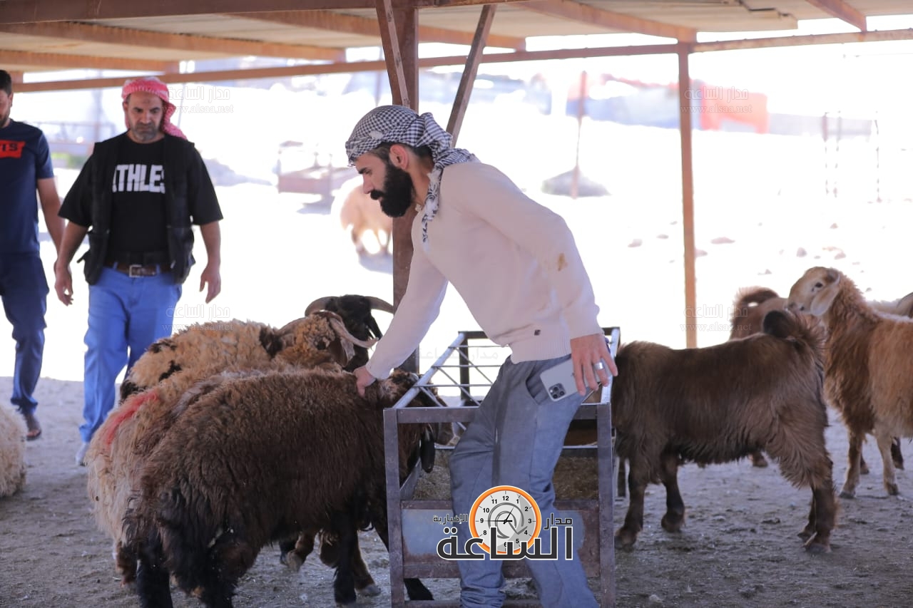 Madar Al-Saa Images 0.3023430696169118