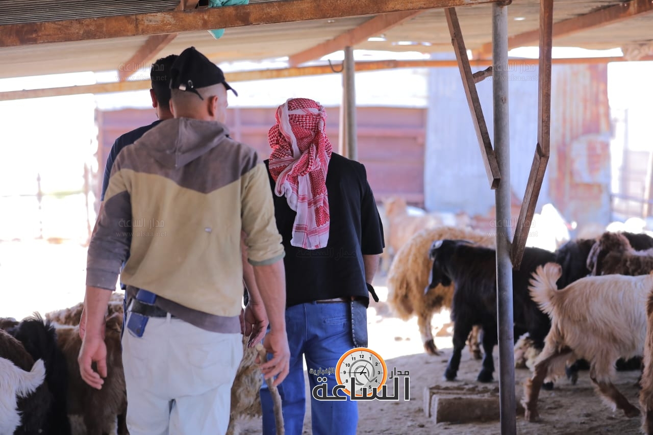 Madar Al-Saa Images 0.7067978209219326