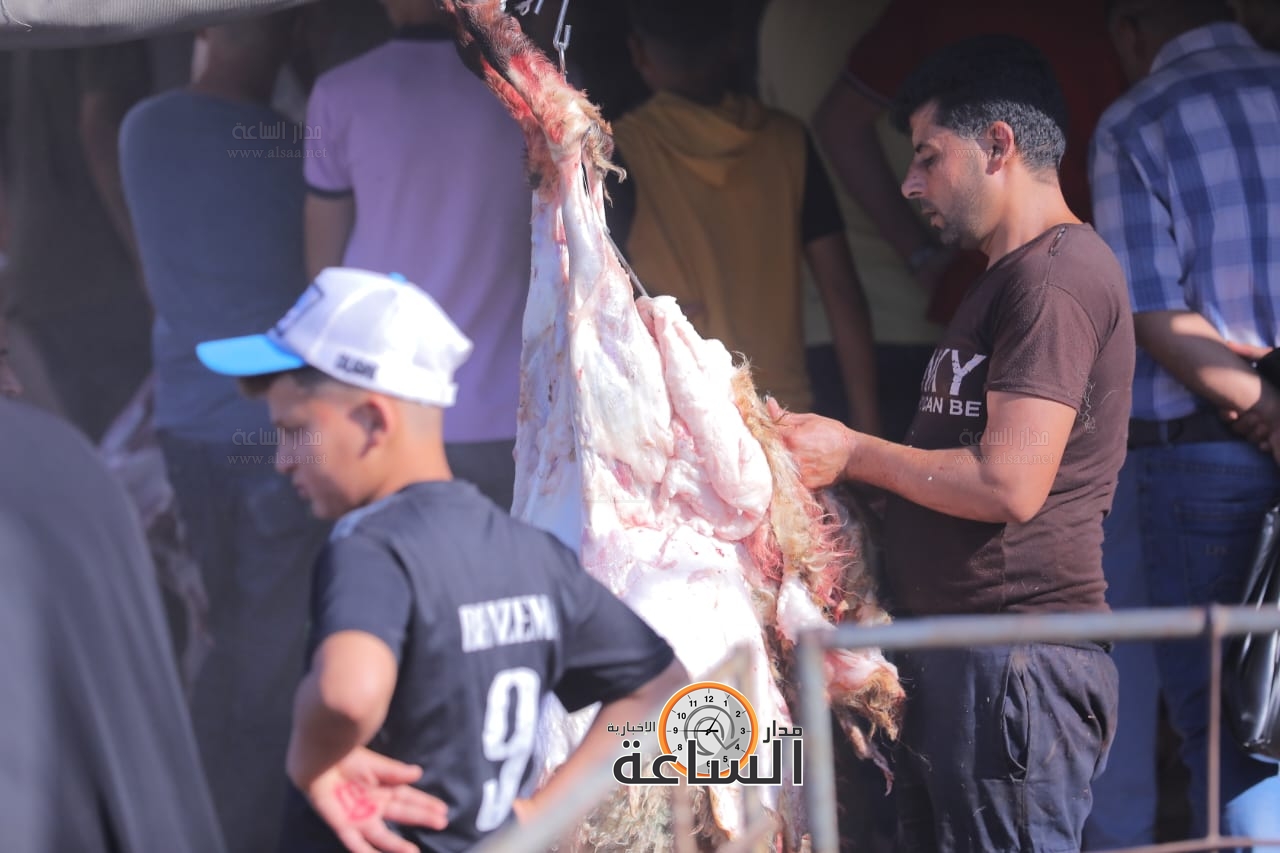 Madar Al-Saa Images 0.4633379857454789