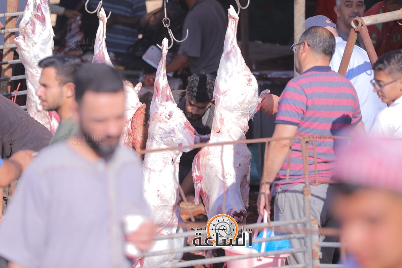 Madar Al-Saa Images 0.9046096013671716