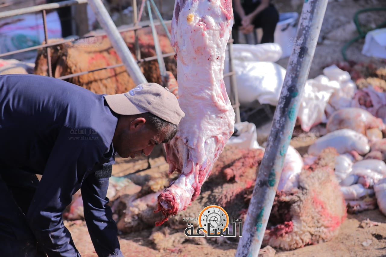 Madar Al-Saa Images 0.7930667152622459