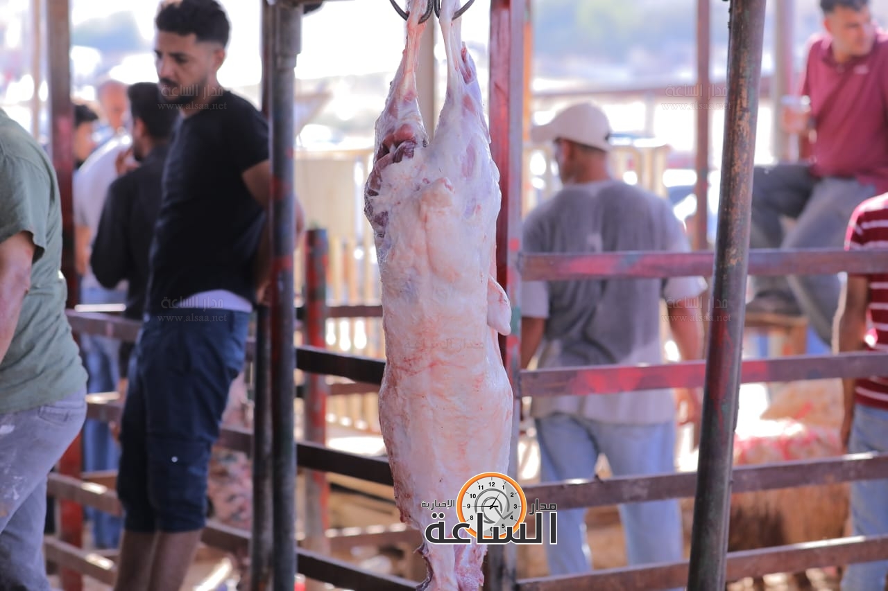 Madar Al-Saa Images 0.4011771856956994