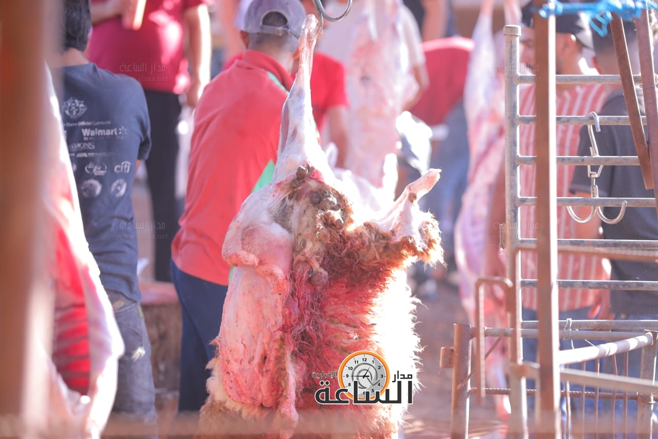 Madar Al-Saa Images 0.01767270529772036