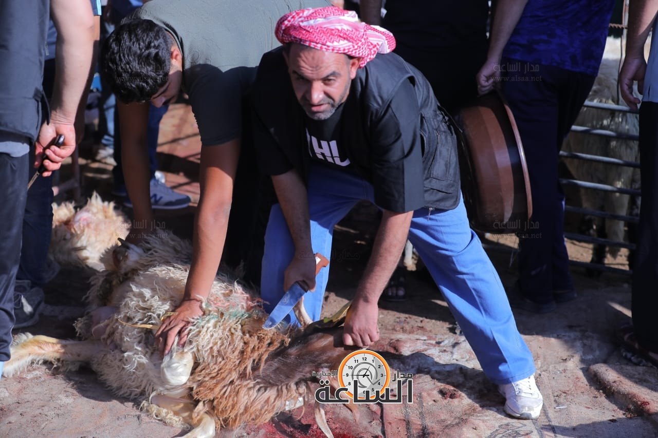 Madar Al-Saa Images 0.9908648708280632