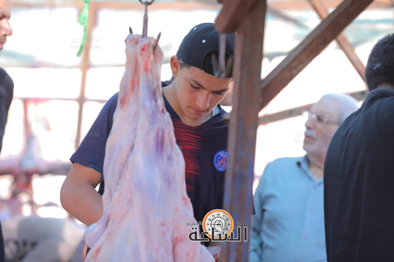 Madar Al-Saa Images 0.20184225083400364