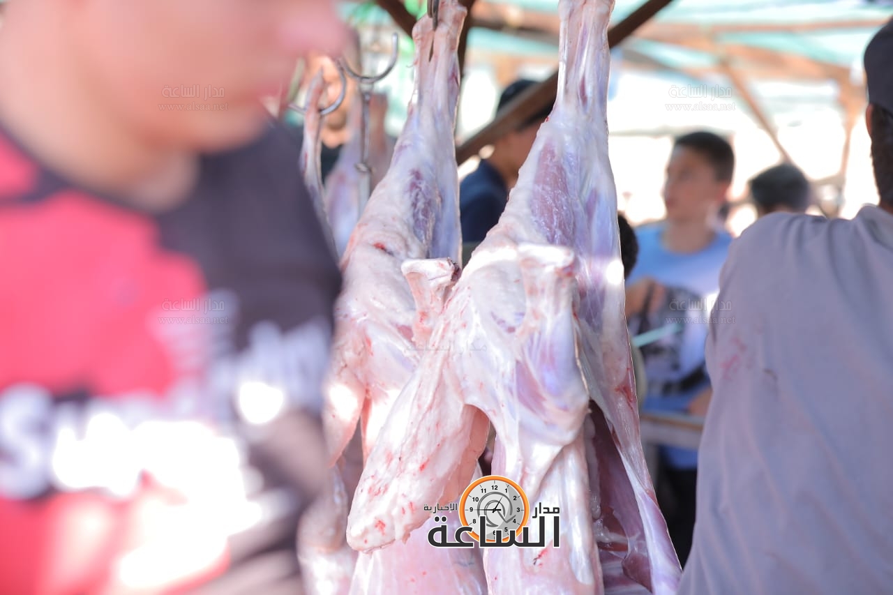 Madar Al-Saa Images 0.9139146733905119