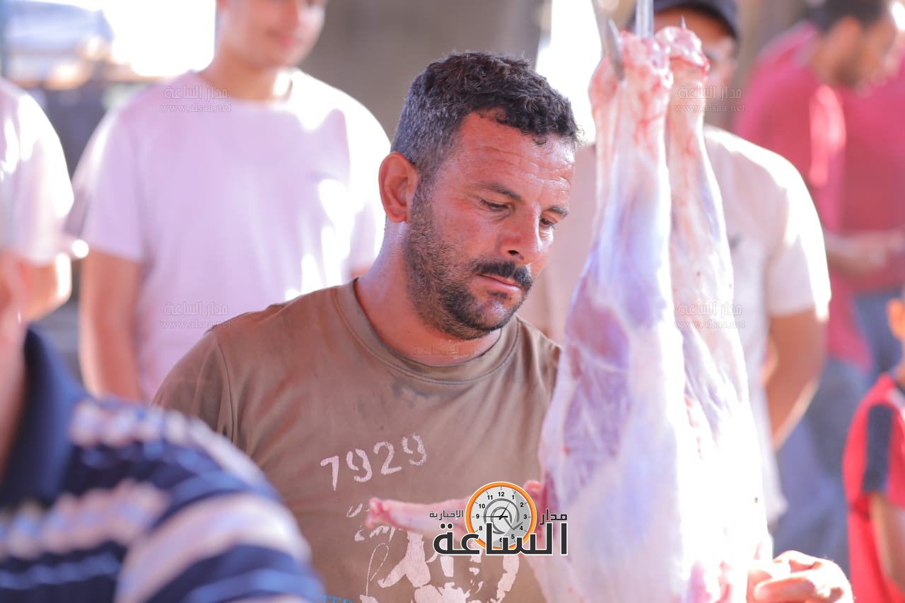 Madar Al-Saa Images 0.18791428191527437