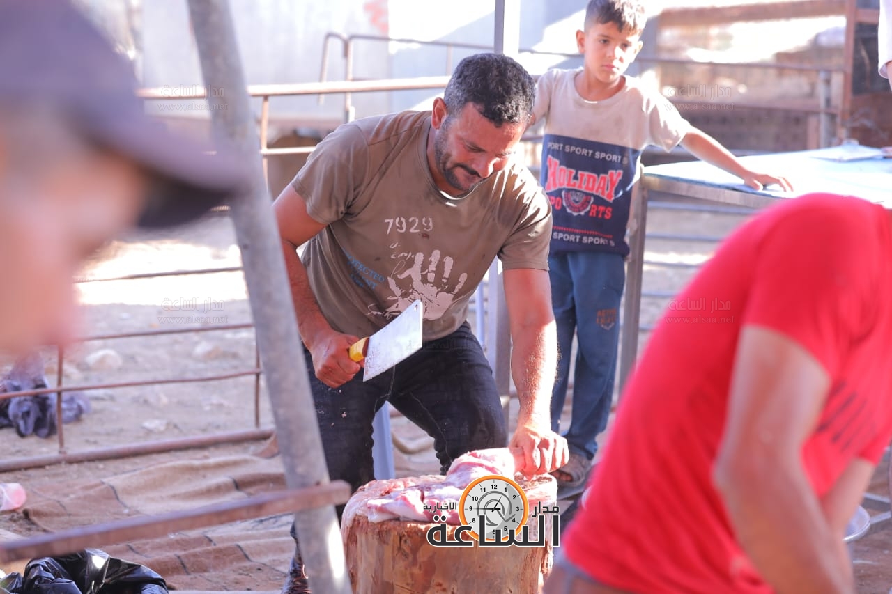 Madar Al-Saa Images 0.9373735214524912