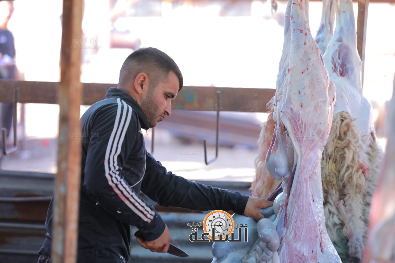 Madar Al-Saa Images 0.7599606228424747