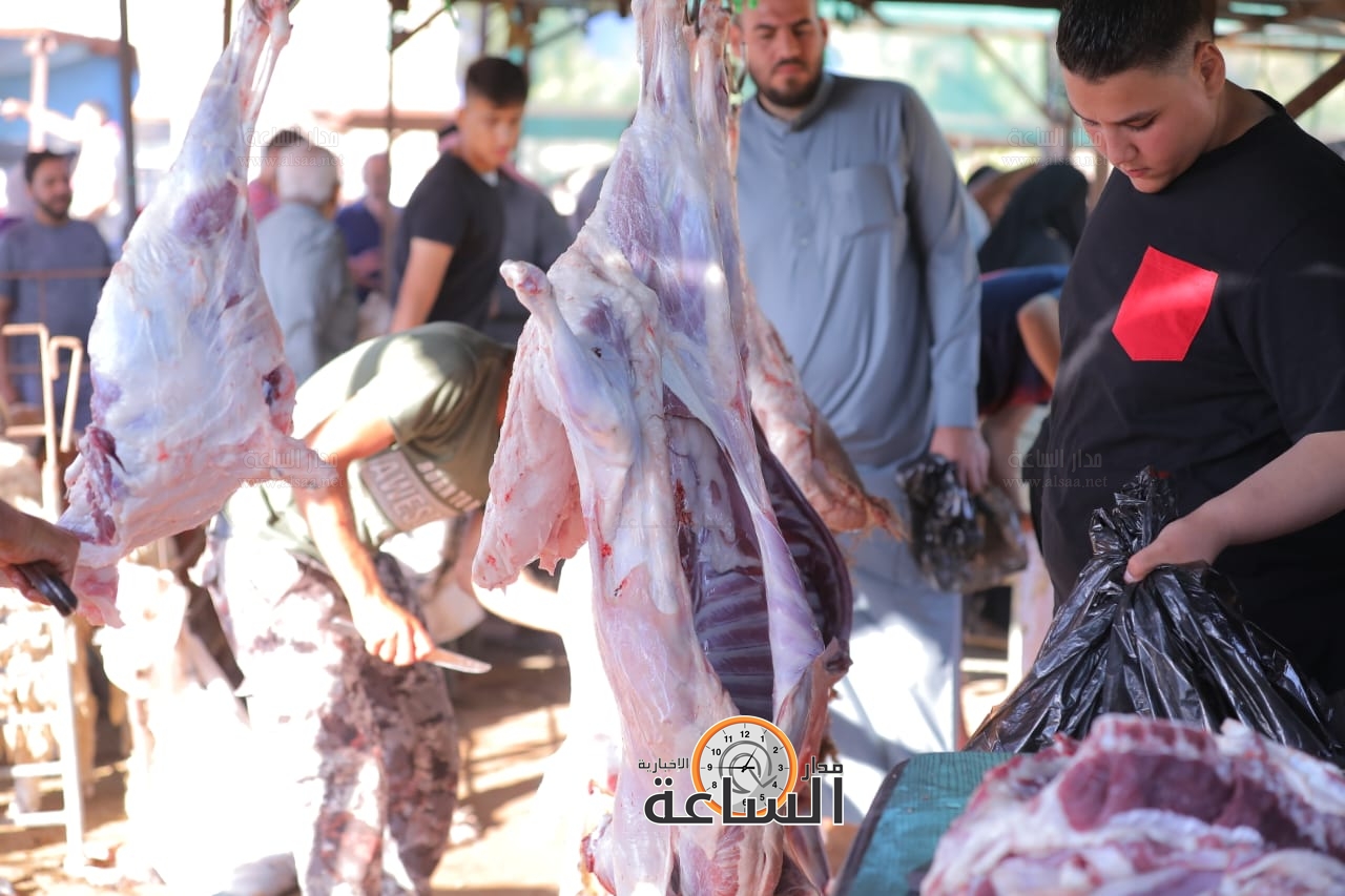 Madar Al-Saa Images 0.6097392669433308