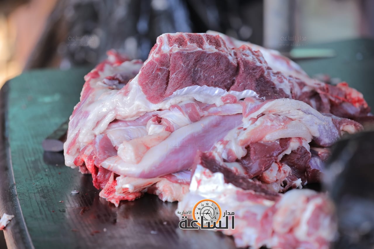 Madar Al-Saa Images 0.16638665833198285