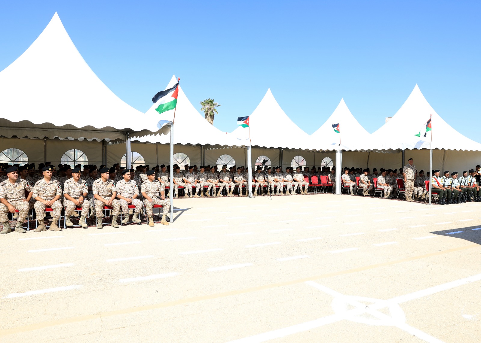 Madar Al-Saa Images 0.241629407817187