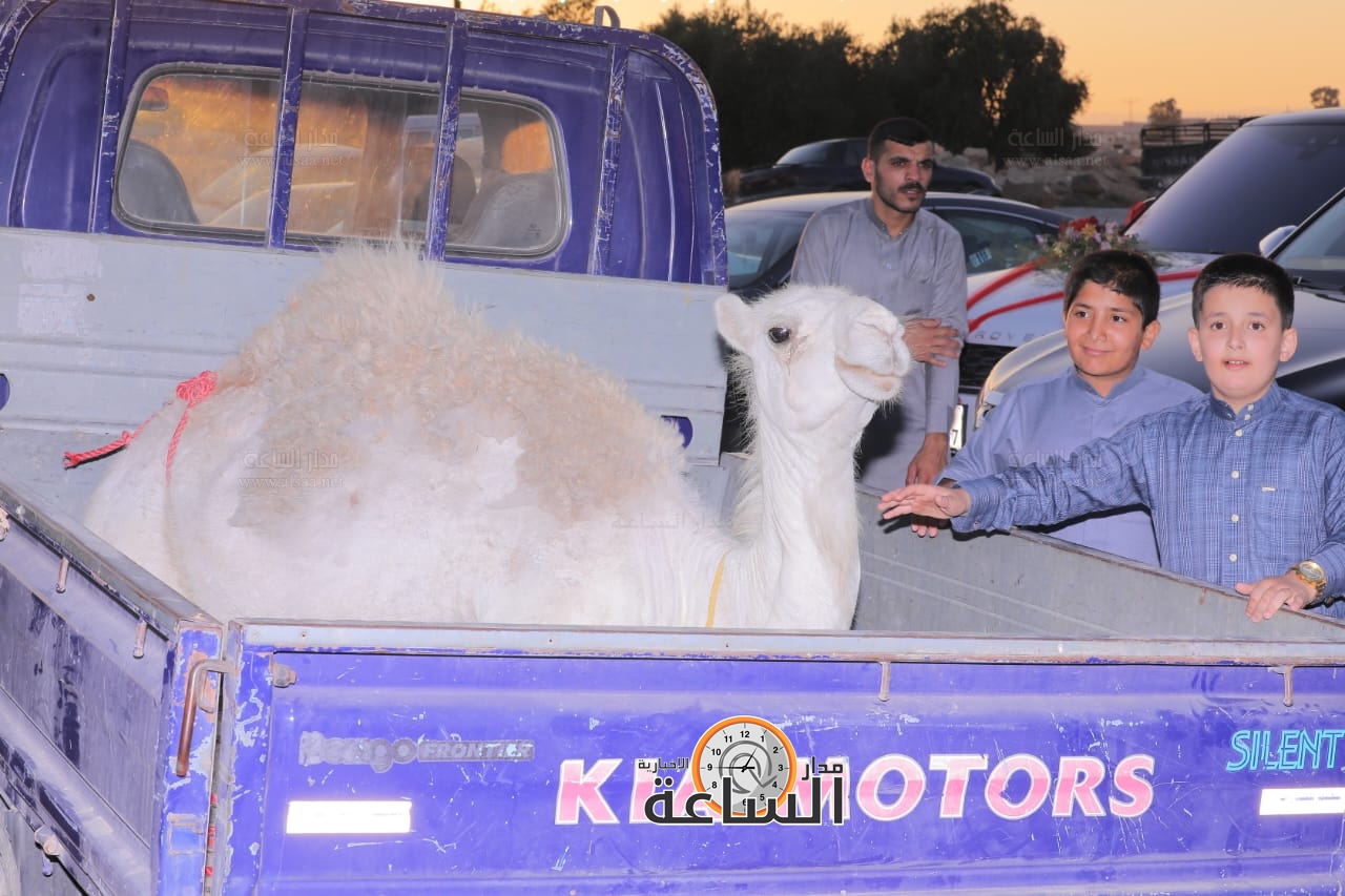 Madar Al-Saa Images 0.7048637633278094