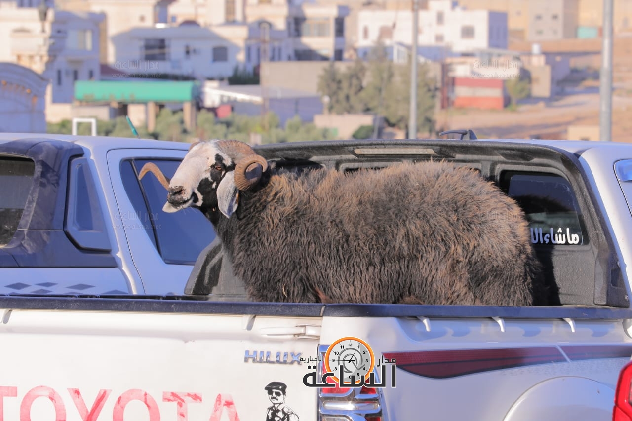 Madar Al-Saa Images 0.9682327127336543