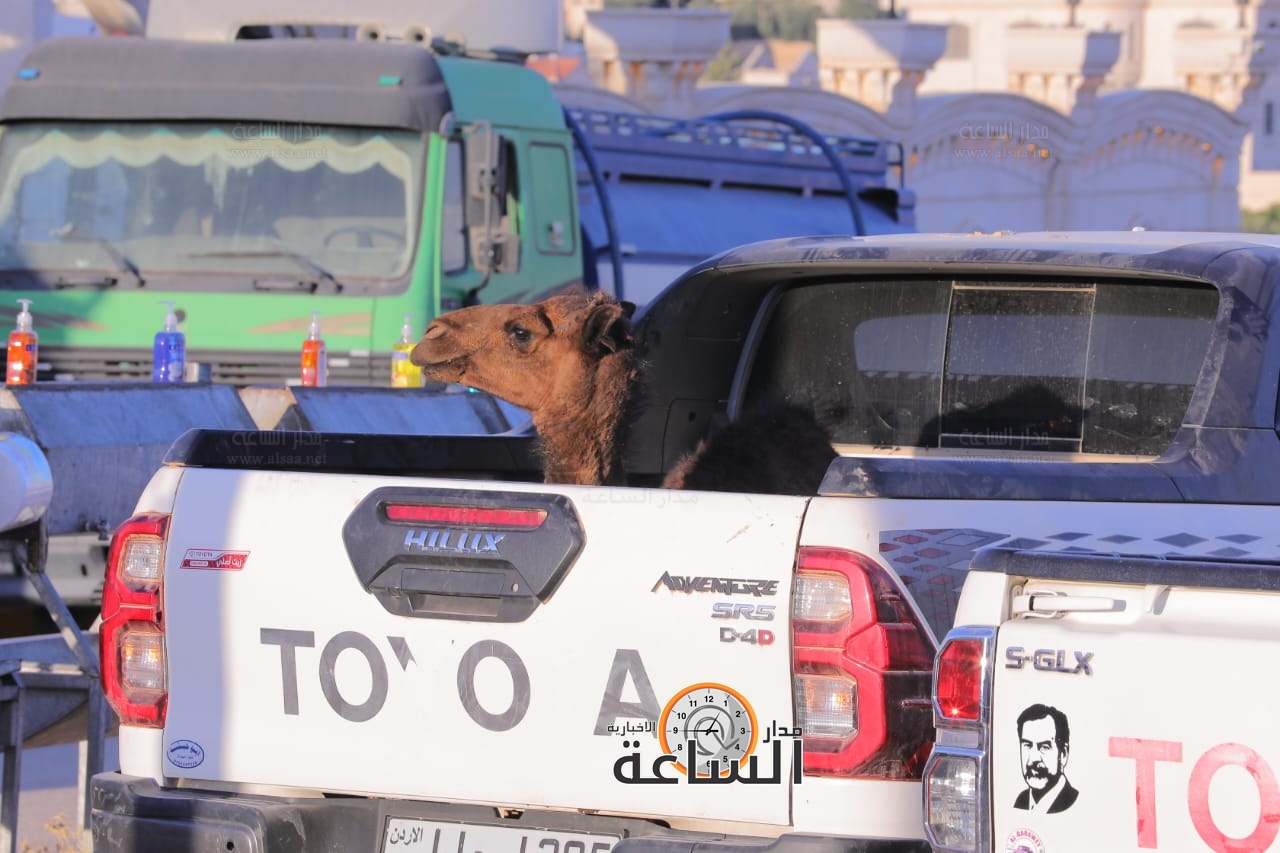 Madar Al-Saa Images 0.6996038306816081