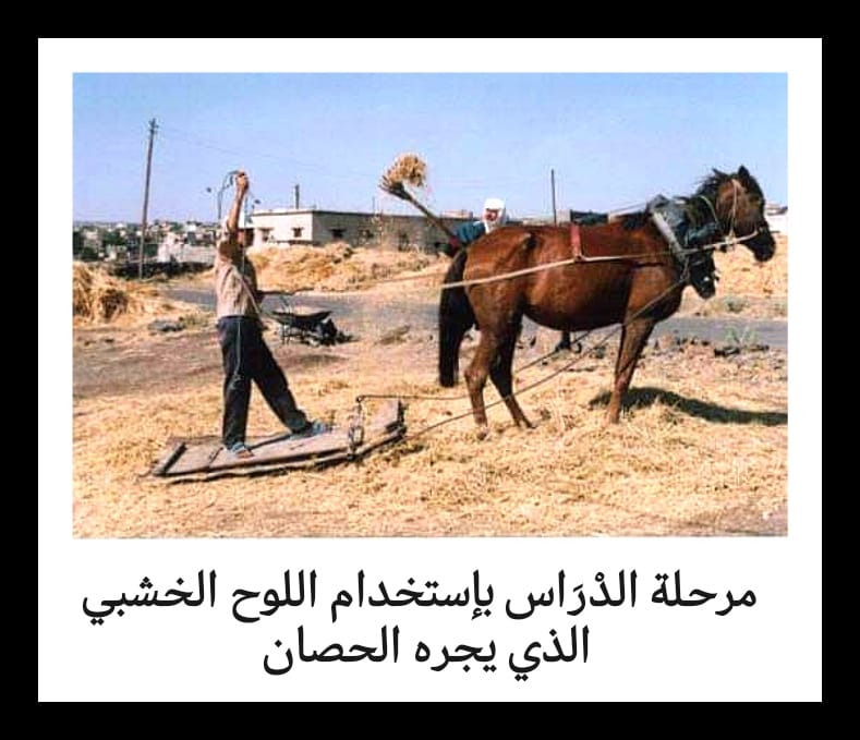 Madar Al-Saa Images 0.026538358018774022