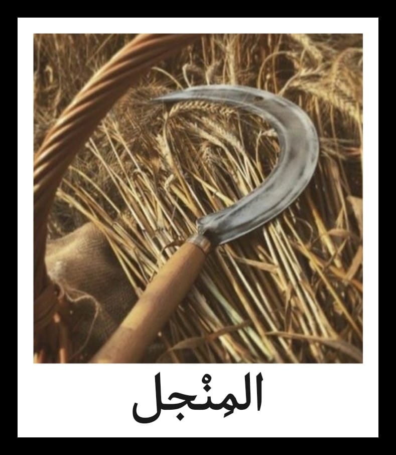 Madar Al-Saa Images 0.4154235022045466