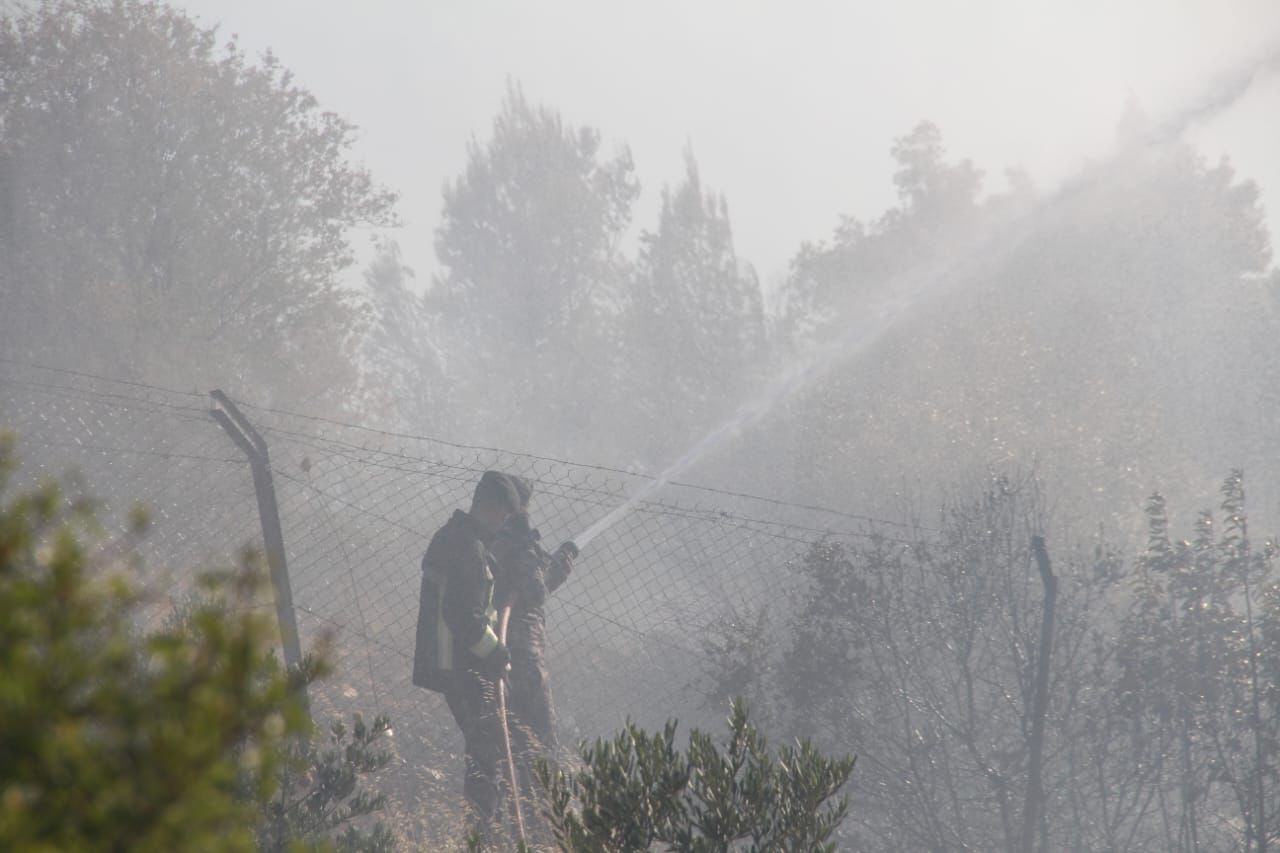 Madar Al-Saa Images 0.27264158759477586