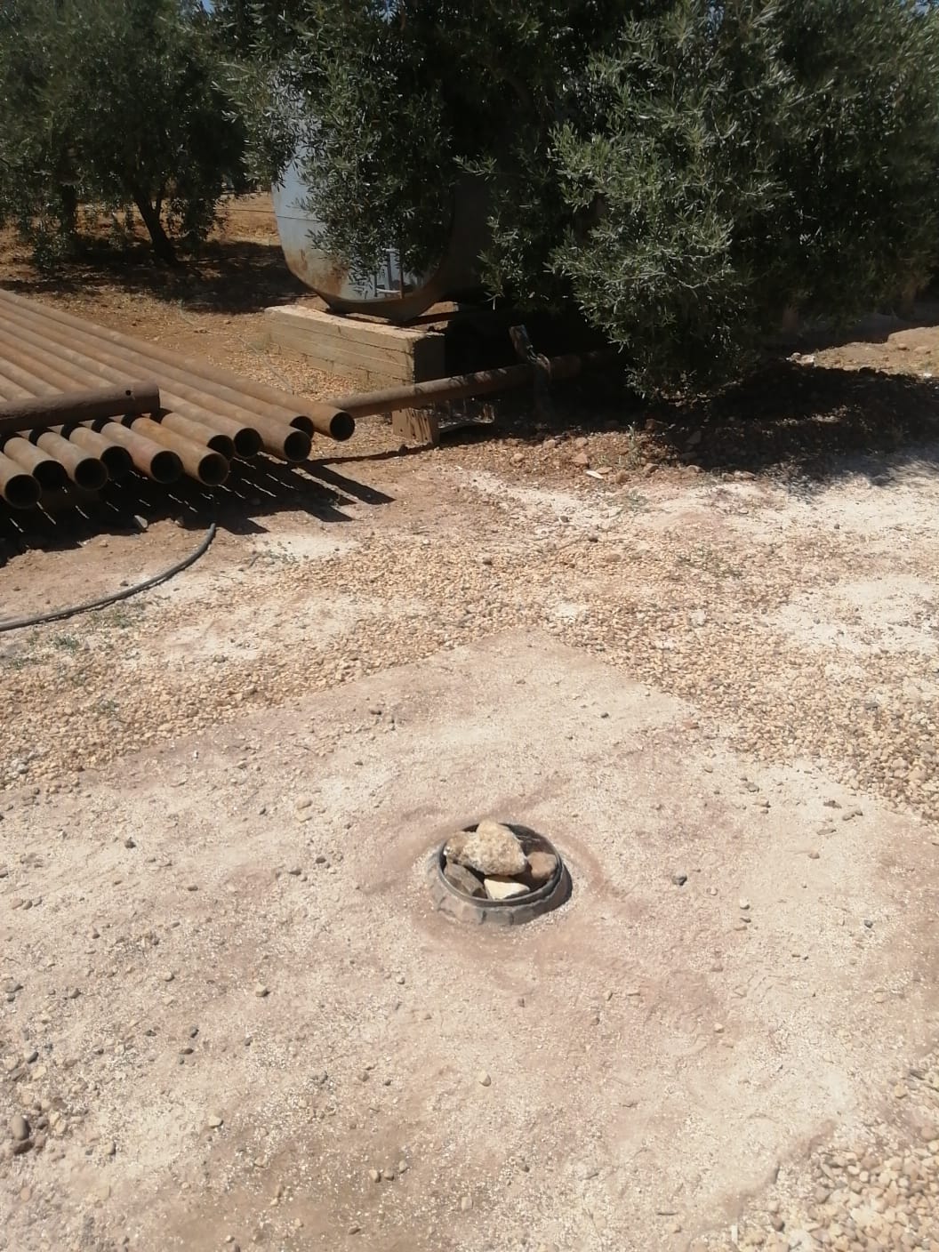 Madar Al-Saa Images 0.9998687280071319