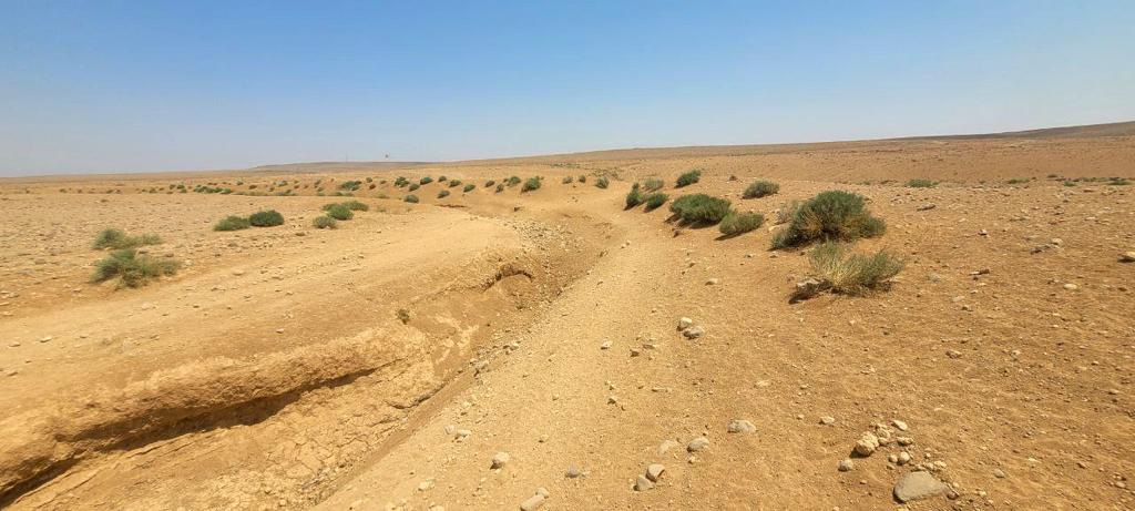 Madar Al-Saa Images 0.7225892176473723