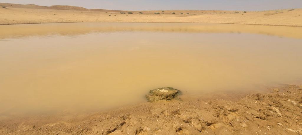 Madar Al-Saa Images 0.5374413961168942