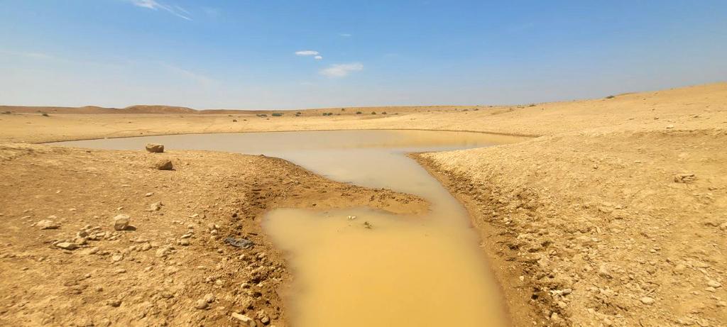 Madar Al-Saa Images 0.35343102404833293