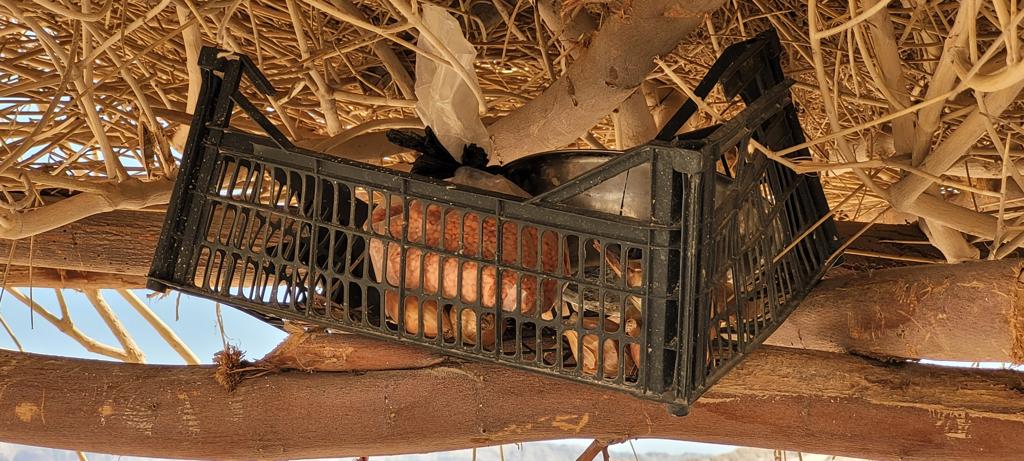 Madar Al-Saa Images 0.9699261911453254