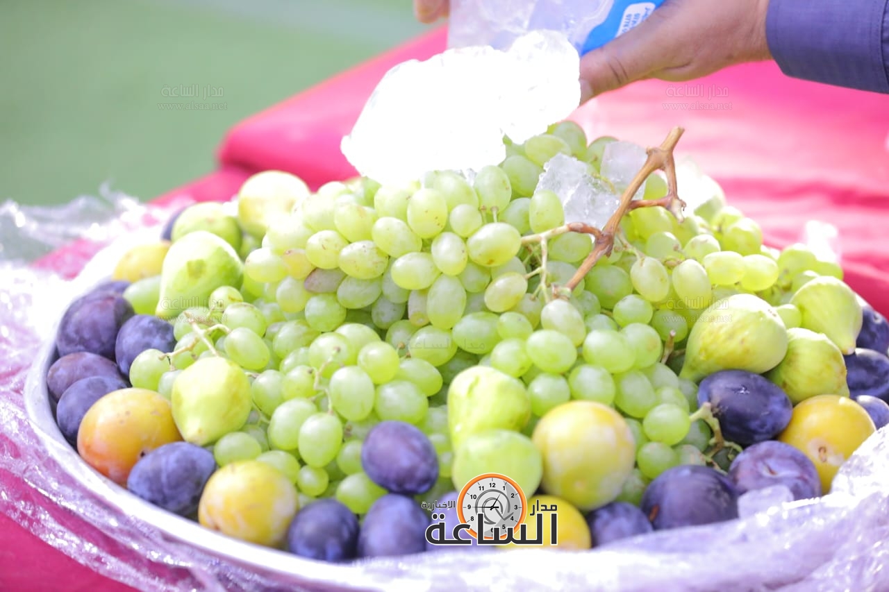 Madar Al-Saa Images 0.27373942119719297