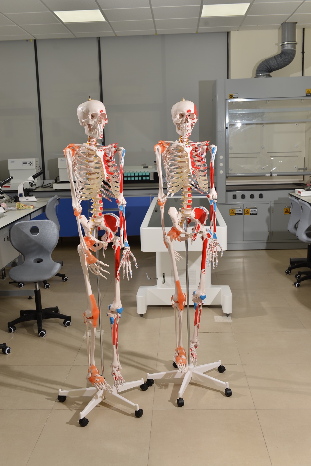 Madar Al-Saa Images 0.703458524766045