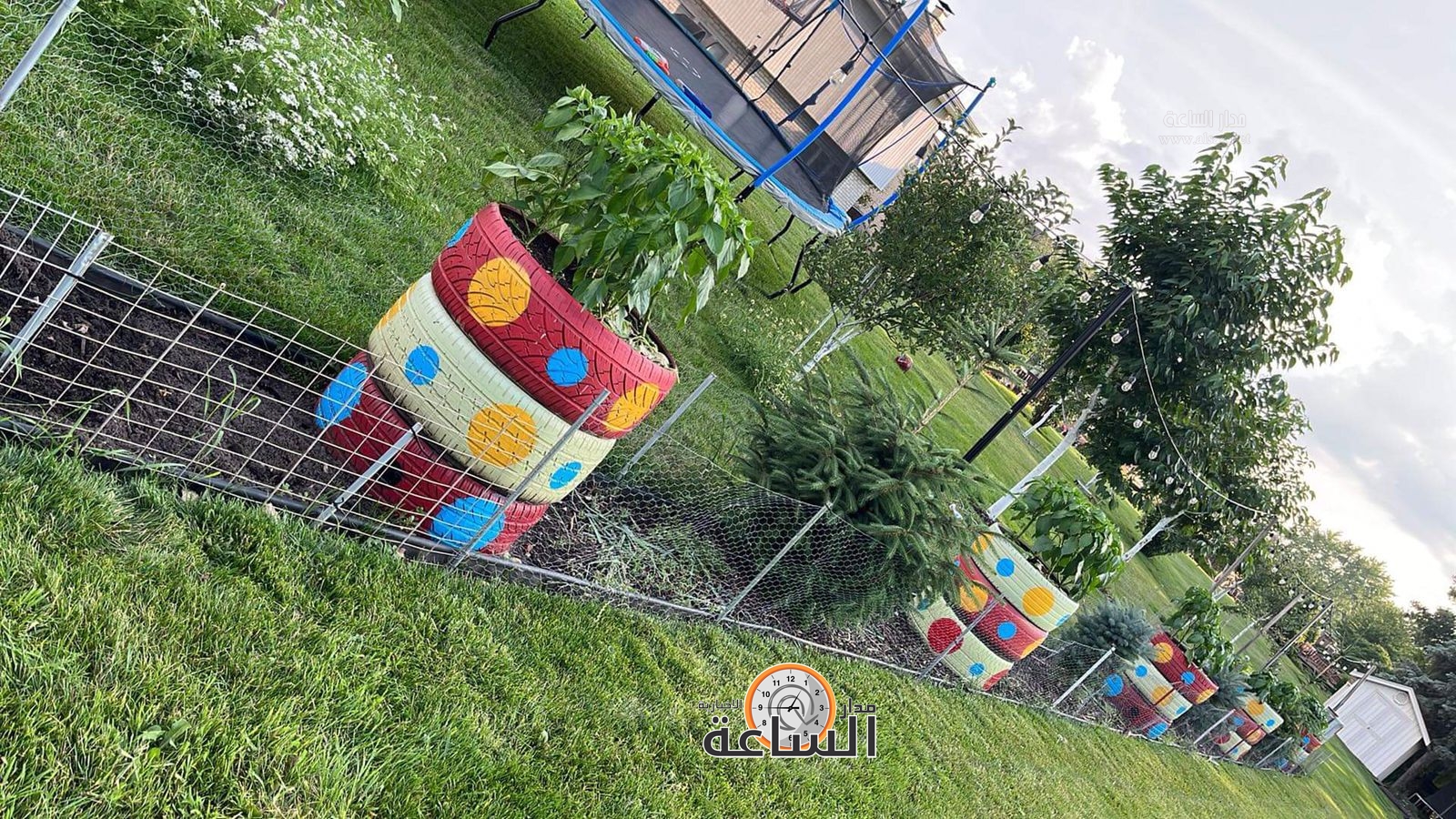 Madar Al-Saa Images 0.12934637224048706