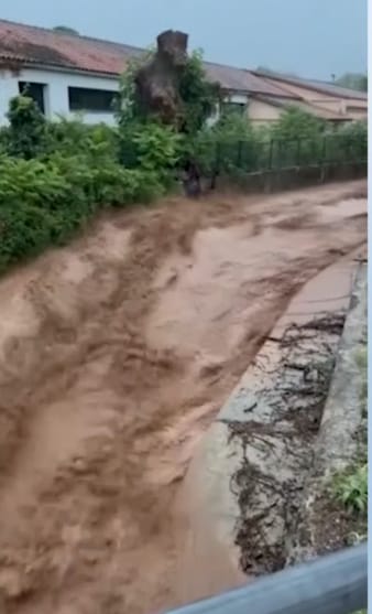 Madar Al-Saa Images 0.563526413169878