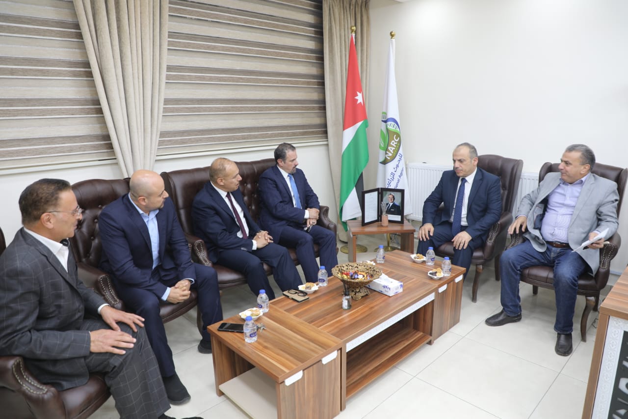 Madar Al-Saa Images 0.27573456843052013