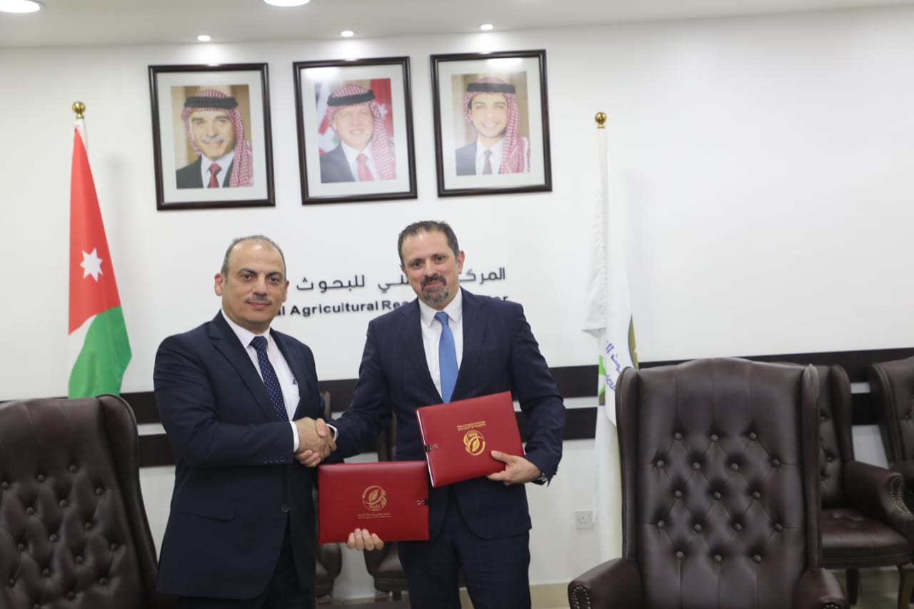 Madar Al-Saa Images 0.6223909475329688