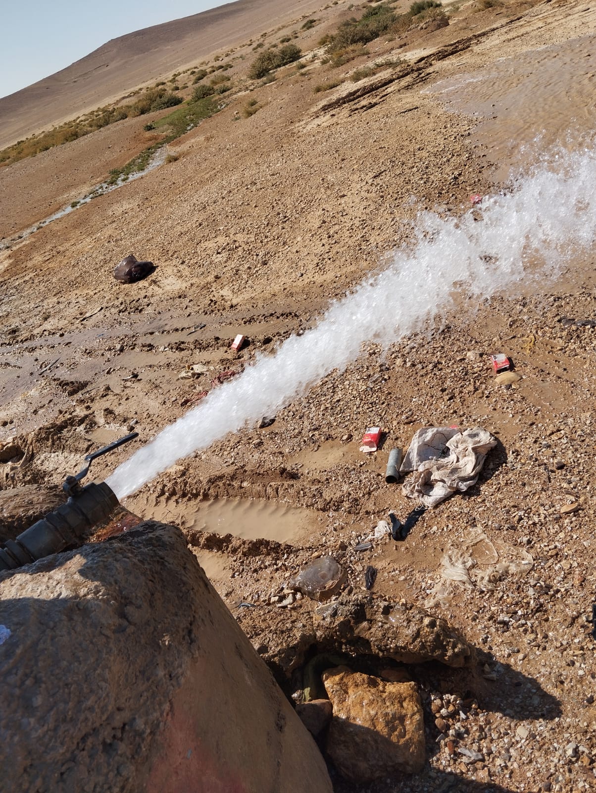 Madar Al-Saa Images 0.8521360923506525