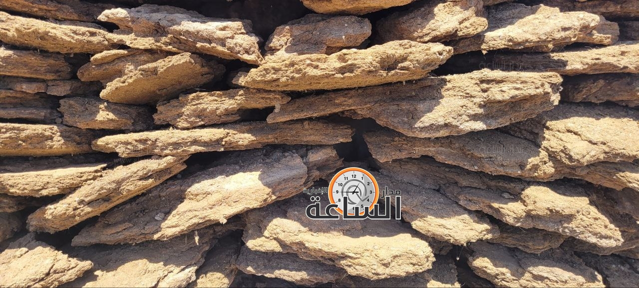 Madar Al-Saa Images 0.931530779798222