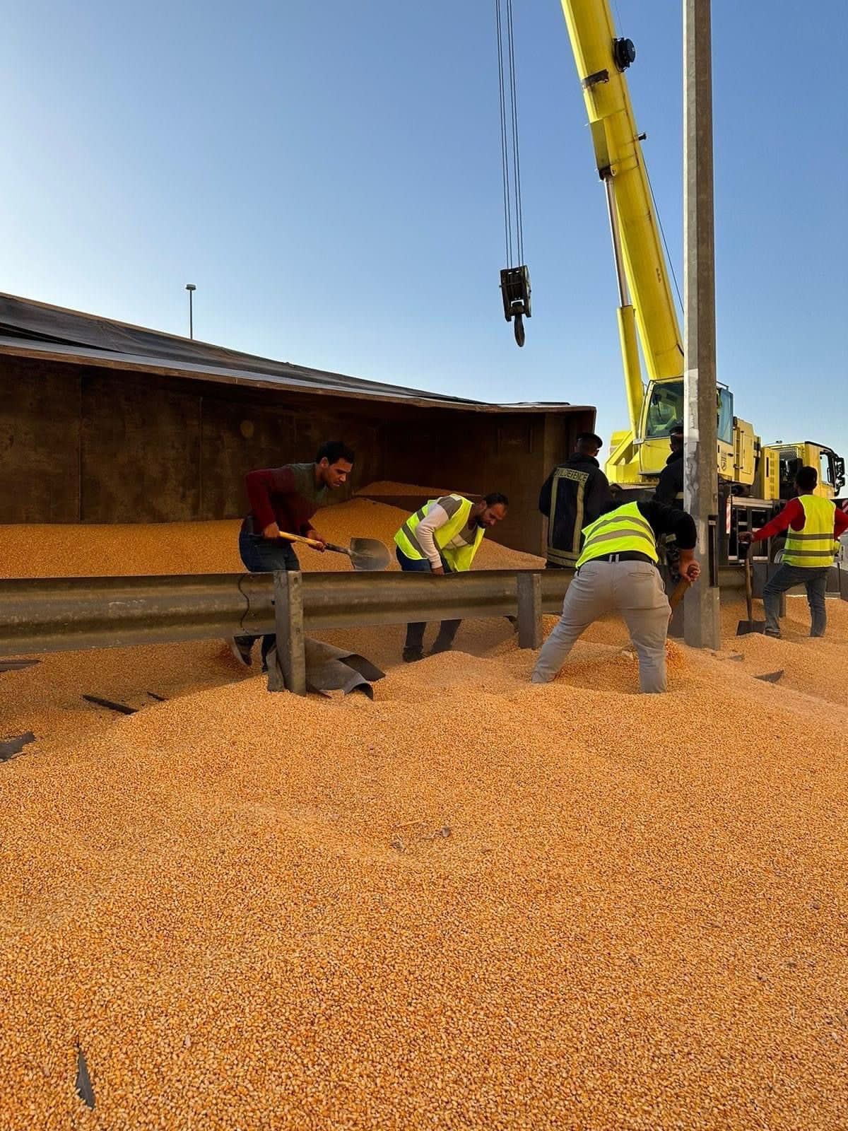 Madar Al-Saa Images 0.44071143581220107