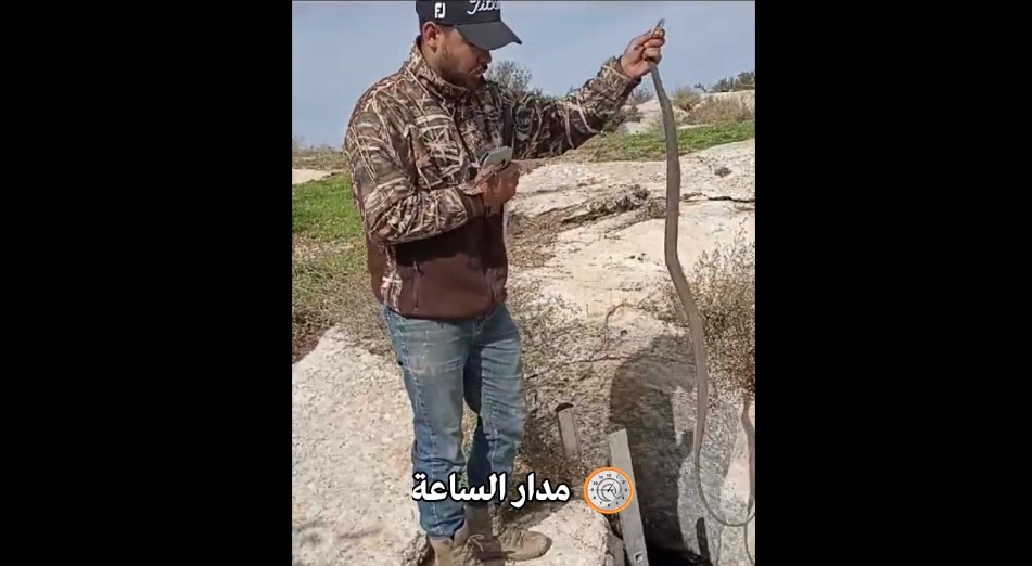 Madar Al-Saa Images 0.289833101737222