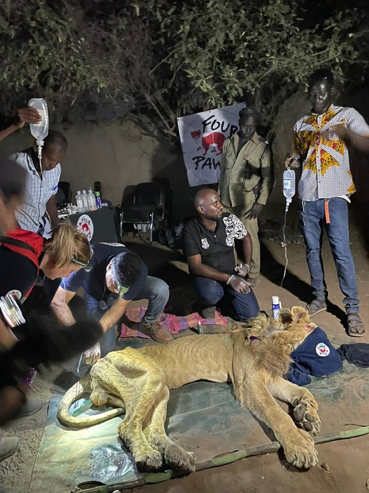 Madar Al-Saa Images 0.6480361766496499