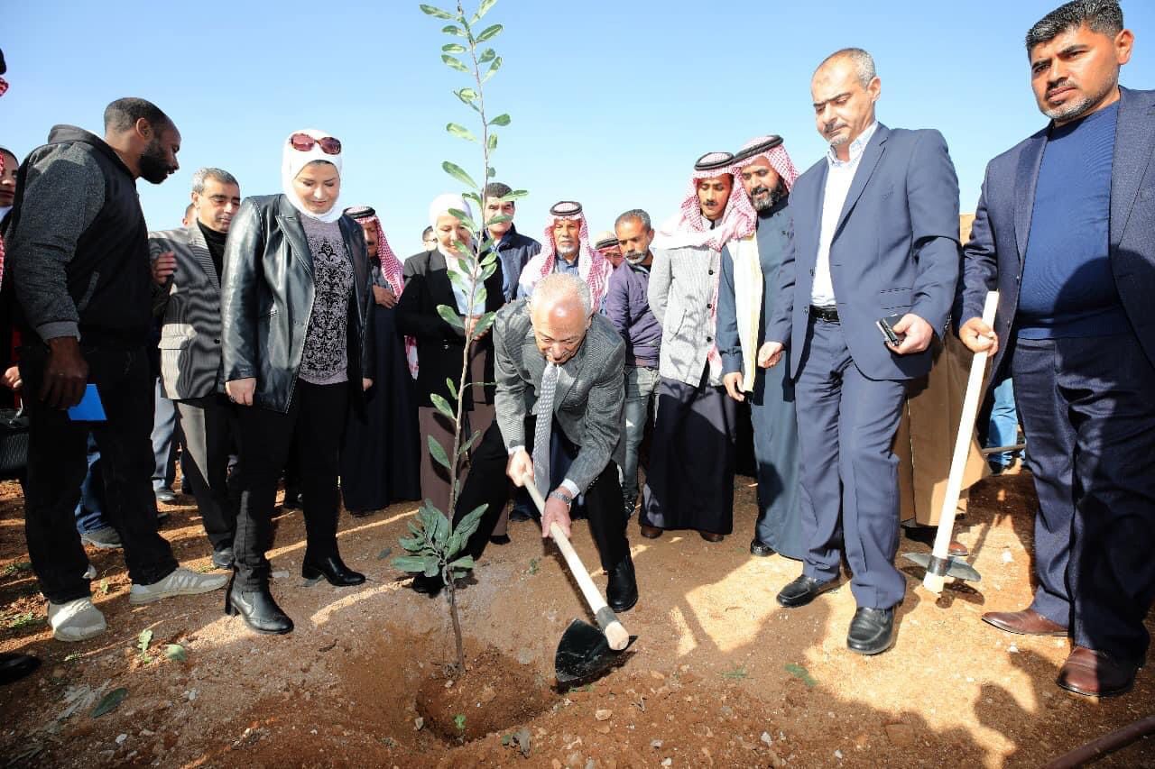 Madar Al-Saa Images 0.8181421004736669