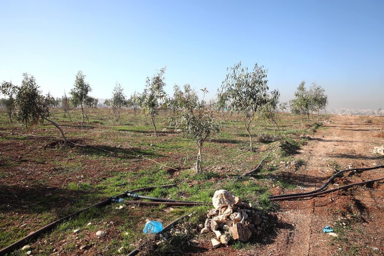 Madar Al-Saa Images 0.12437163353627034